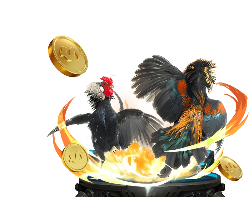 Tham gia ezbet và thắng lớn